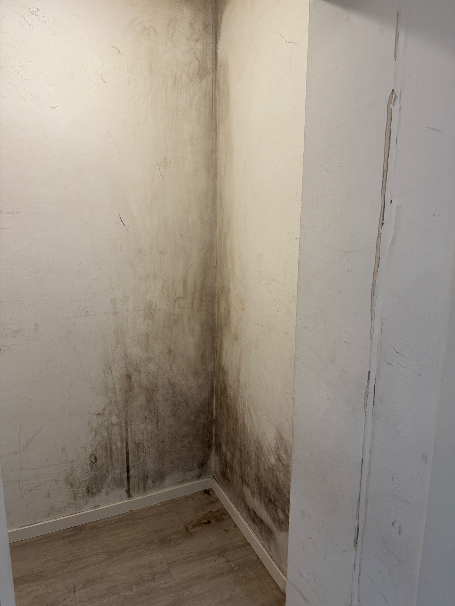 Eine weiße Wand mit großflächigem schwarzen Schimmelbefall in einer Zimmerecke