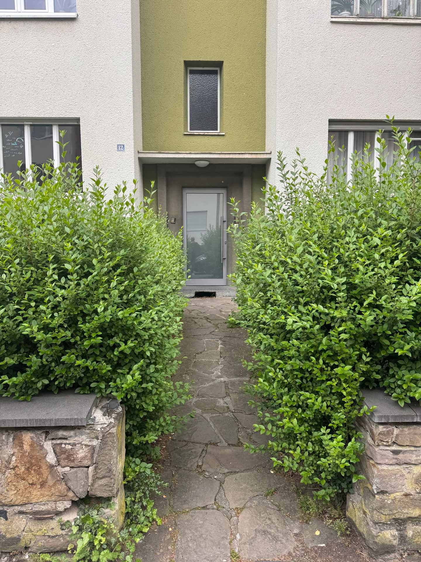 Ein grau gestrichenes Hauseingang mit grüner Fassade und von Büschen flankiert