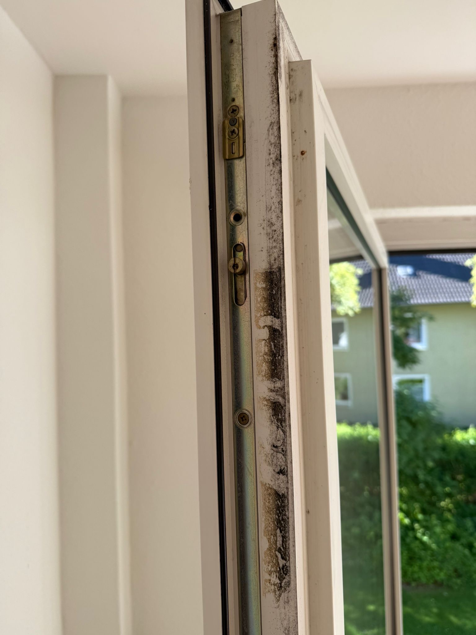 Ein offenes weißes Fenster mit verschmutztem Rahmen und Blick ins Grüne